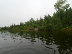 Portage 511 - Moose Landing