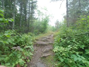Portage 511 - Trail Elevation