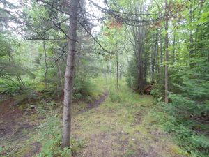 Campsite 1661 - Biffy Trail