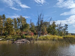 View from lake