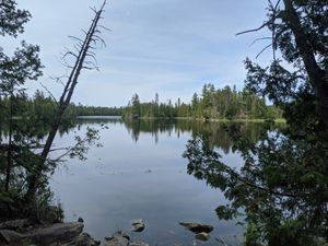 View of Beaver Lake