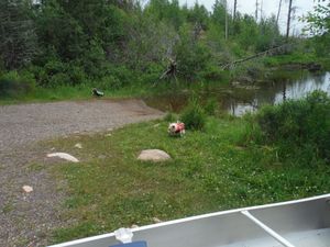 DSCF9472.JPG