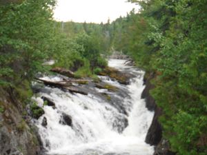 DSCF9489.JPG
