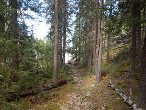 Choice Portage on Flindt River