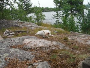 DSCF9549.JPG