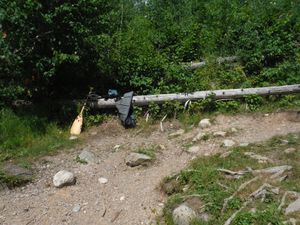 DSCF9479.JPG