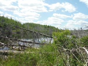 DSCF9480.JPG