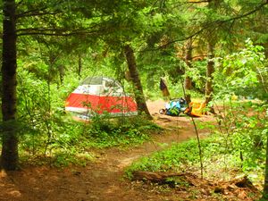 DSCN4290.JPG