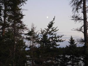 DSCN5196.jpg