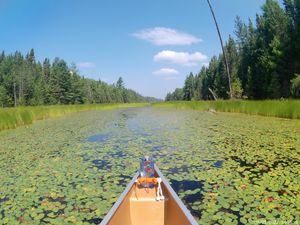 Geb Creek