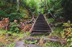 The Old Stairs