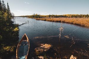 Pipe in the Fall