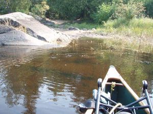 Isabella R near Rice Lake - west end