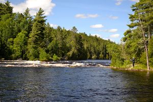 McAree Rapids