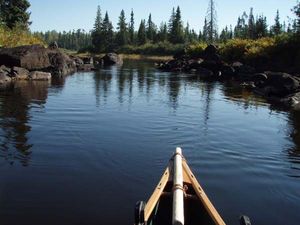 2nd portage west of Quadga Lake - paddling through