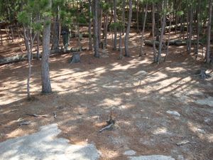 Campsite Tent Pads