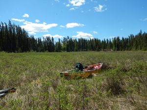 Marsh at the portage