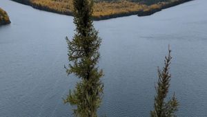 Rose East BRT Overlook