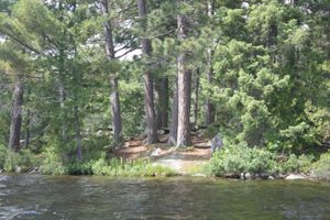 Campsite 97