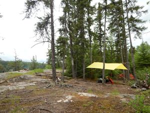 Whaleback Camp