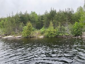 Campsite 427