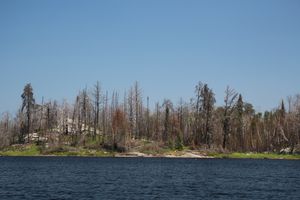 Destruction from the John Ek fire