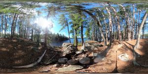 Pine-covered Island