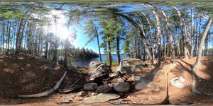 Pine-covered Island