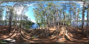 Pine-covered Island