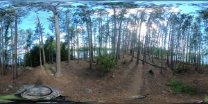 Pine-covered Island