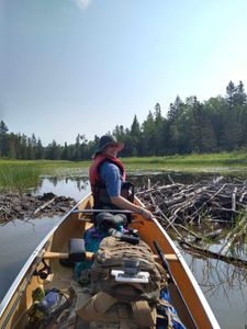 Beaver dams at Deux