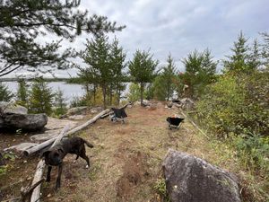 Pose Lake Campsite