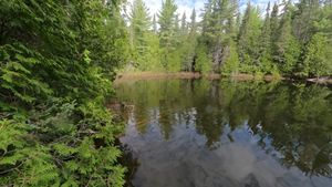 Pond Downstream of Magical Place