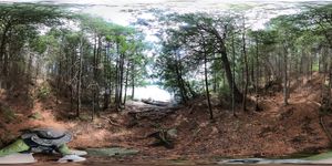 Campsite 631
