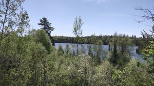 View from the Top