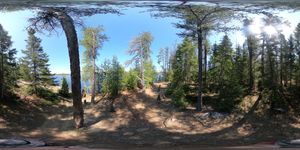 Campsite 1499