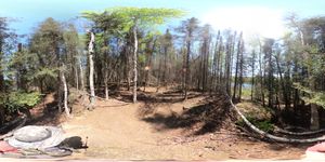 Campsite 1485