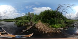 Entering Clove