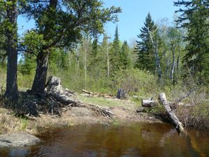 Malberg Campsite