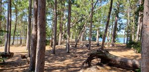 Sturgeon Beach