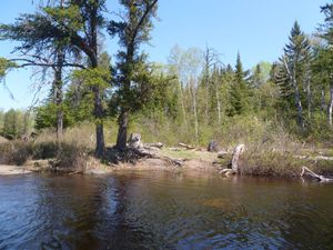 Malberg Campsite