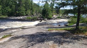 The power of nature