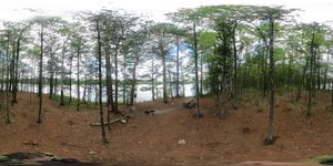 Campsite 653