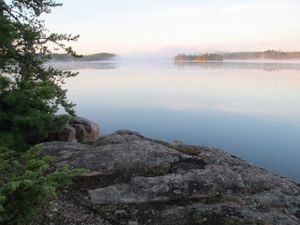 morning mist