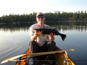 walleye 2