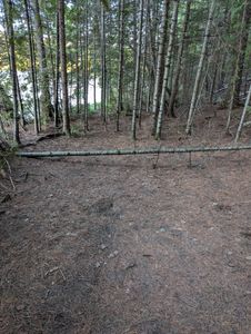 tent site