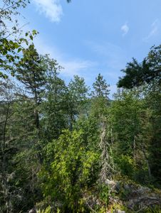 trail area