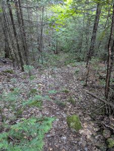 south landing