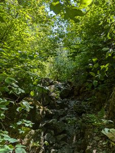 trail so to speak