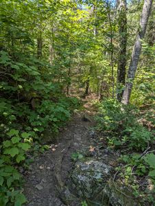 trail